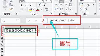 输入身份证号查罚单_输入身份证号查罚单编