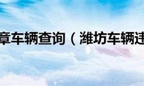 山东省潍坊市车辆违章查询_山东省潍坊市车