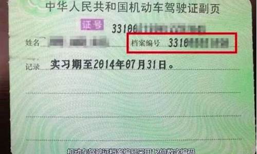 机动车驾驶证查询分数_机动车驾驶证查询分数怎么查